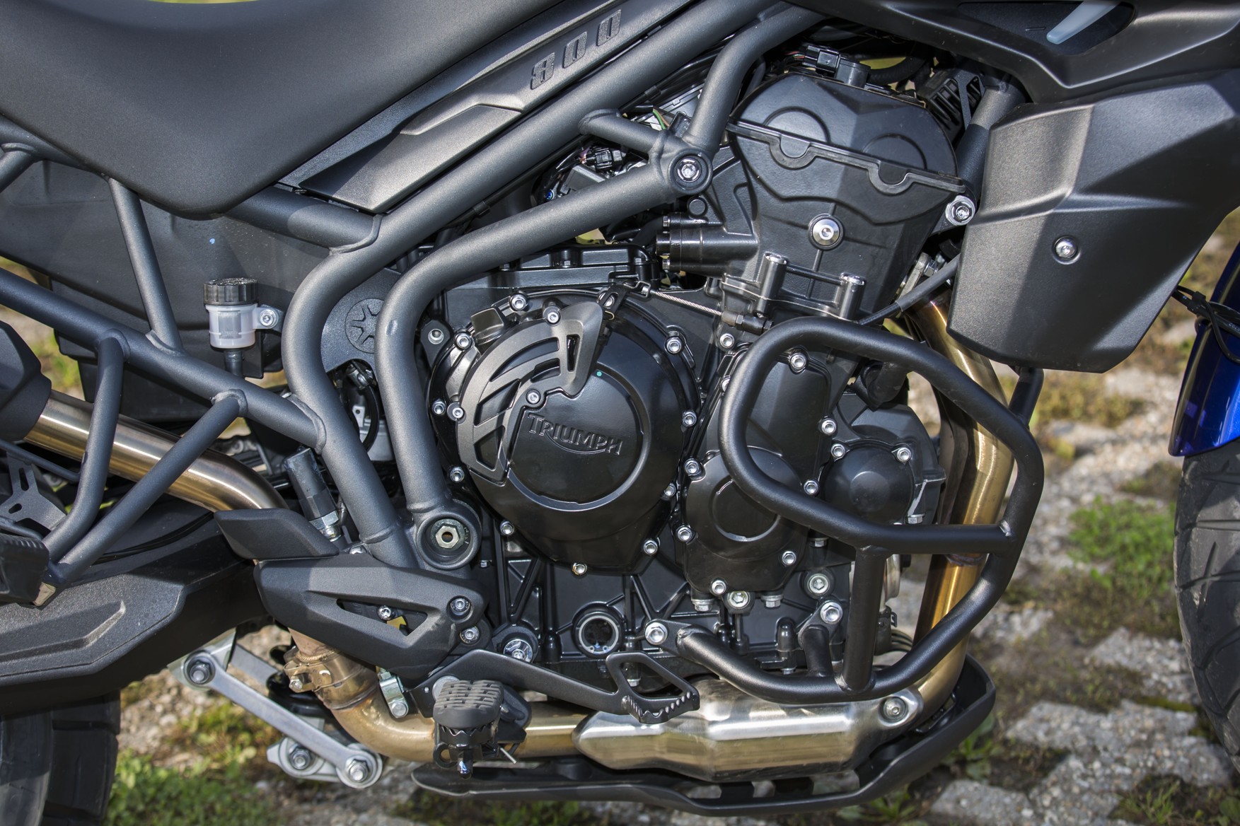 TEST: Univerzální šelma – Triumph Tiger 800 TEST: Univerzální šelma – Triumph Tiger 800